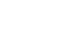 Whale Shark Media