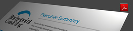 Executive Summary Thumbnail Executive Summary